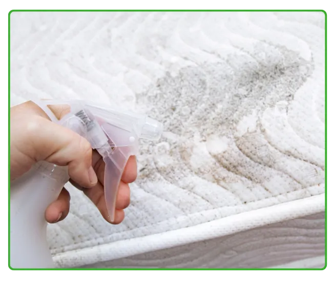 Sofa Stain Removal Service Lahore
