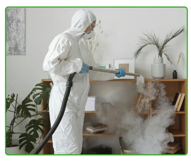 Termite Fumigation In Karachi
