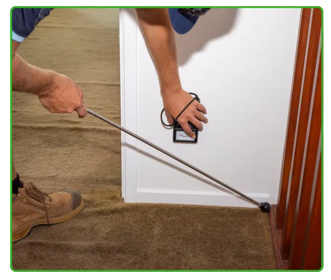 Termite Inspection Lahore