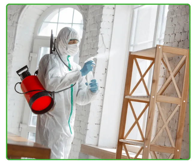 Termite Fumigation in Islamabad