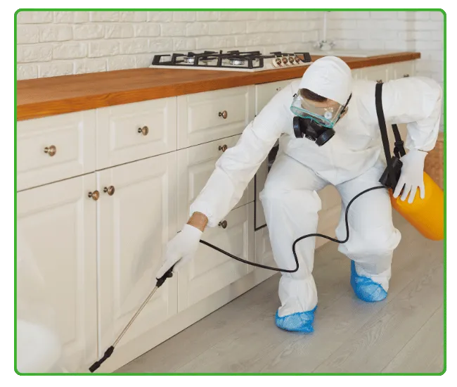 Post-Construction Termite Treatment Islamabad