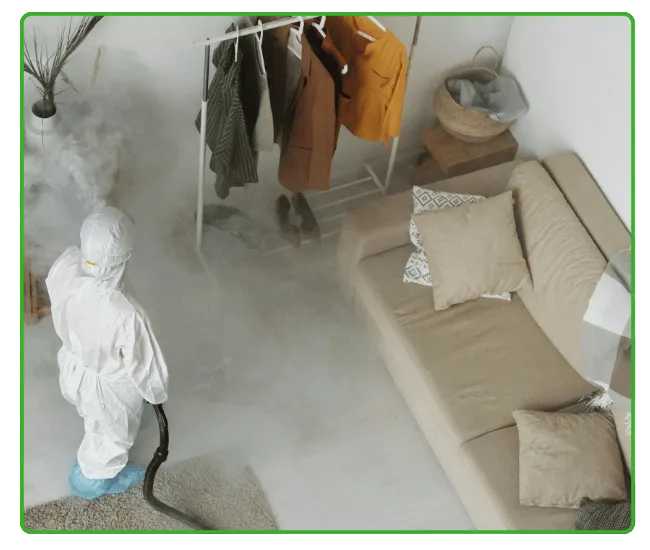 Termite Fumigation in Islamabad