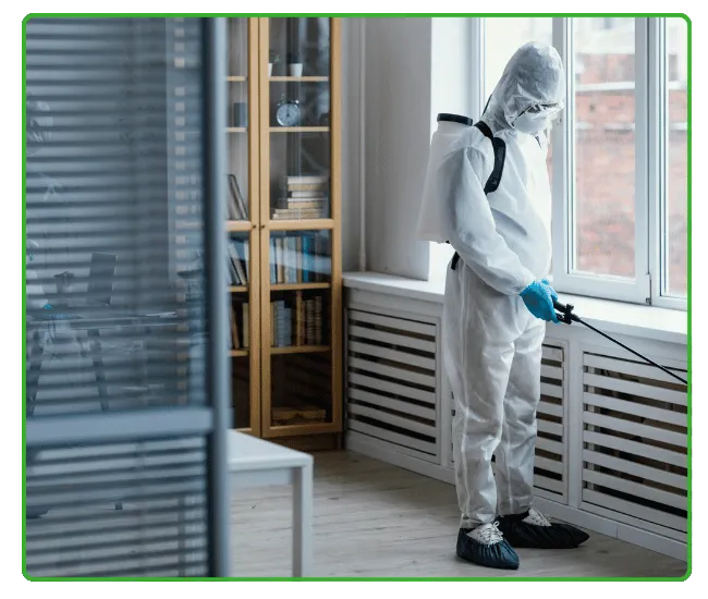 Commercial Termite Treatment Rawalpindi