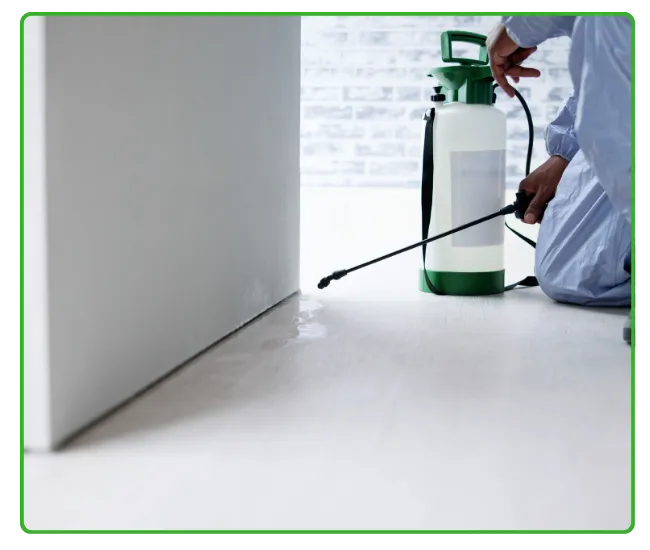 General Pest Control & Fumigation