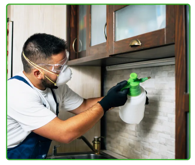 Termite Control In Rawalpindi