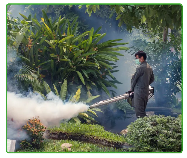 Mosquito & Dengue Control
