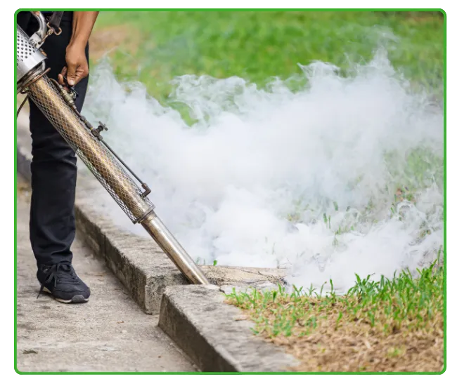 Mosquito & Dengue Control