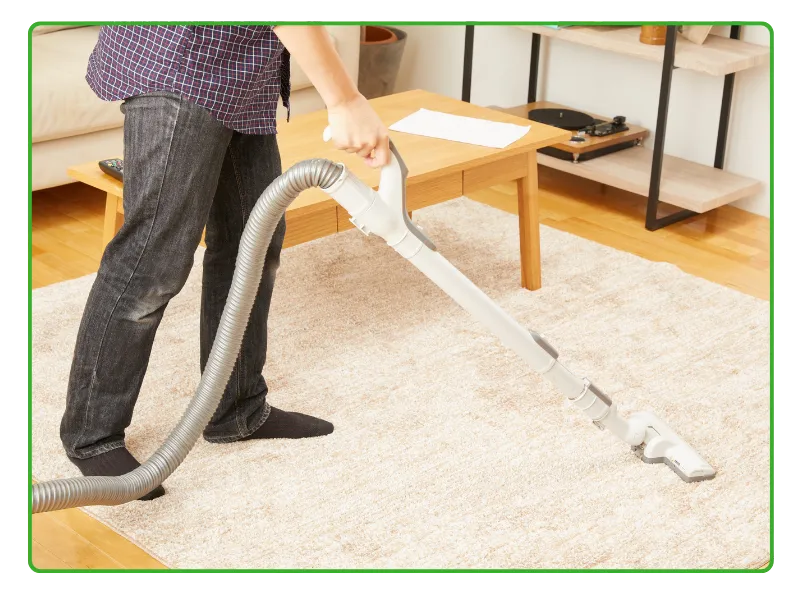 Dry Carpet Cleaning