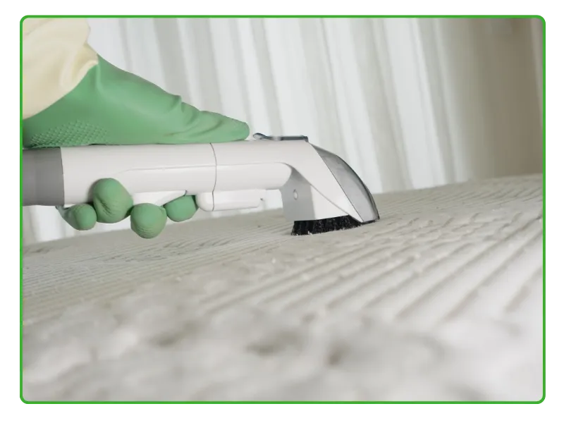 Steam Carpet Cleaning