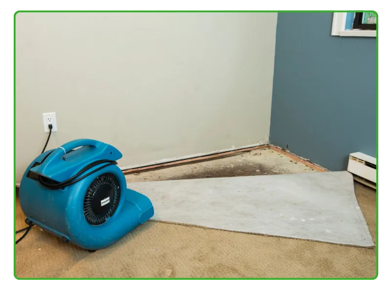 Water Tank Fumigation Services Karachi