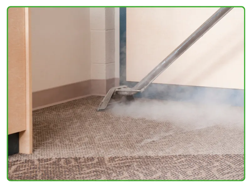 RResidential Carpet Cleaning Services