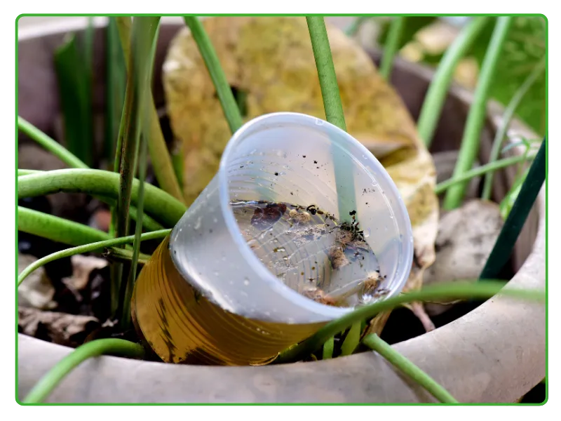 Residential Mosquito Control Services