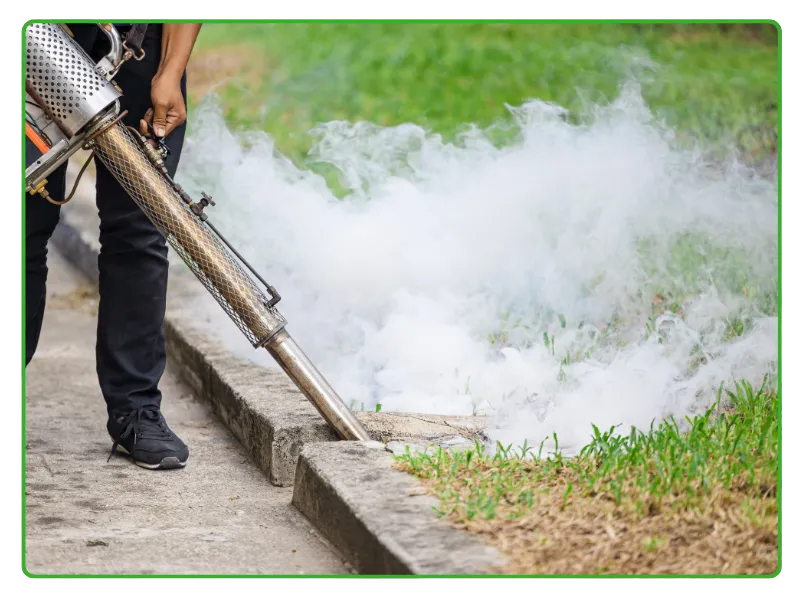 Commercial Mosquito Control Services in Karachi