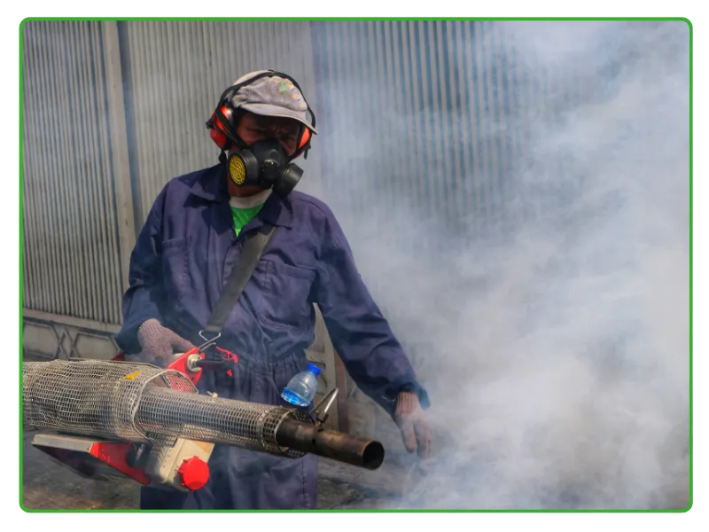 Fumigation and Mosquito Spray Treatment