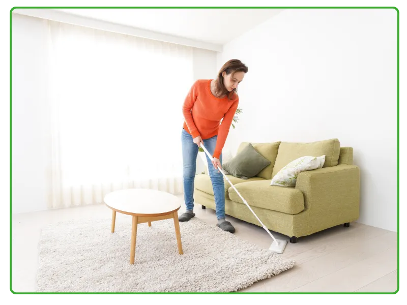 Sofa & Carpet Cleaning