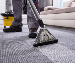 Carpet Cleaning