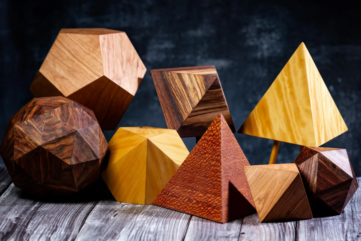 What Our Bodies Remember: Wood, Wellness, and the Human Connection