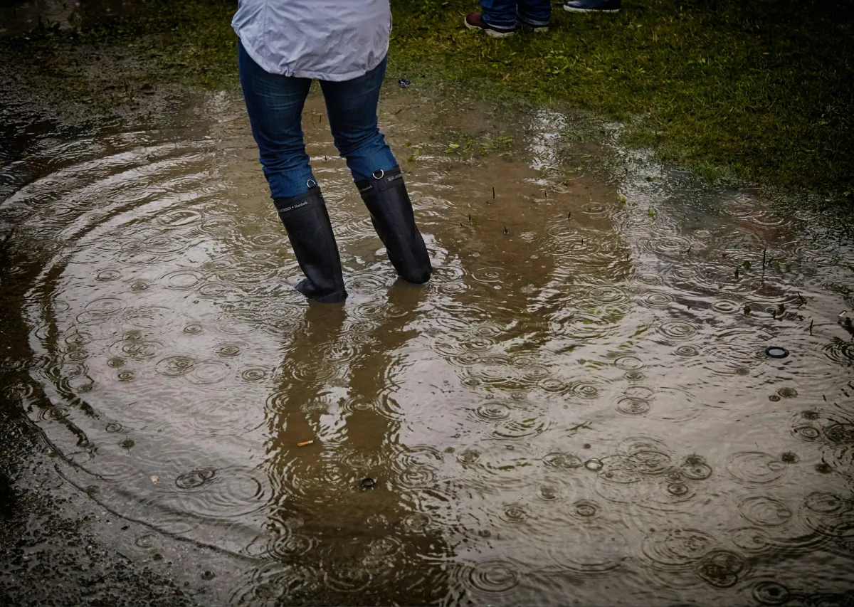 Standing Water in Your Yard? Drainage & Grading Solutions for Aurora, Sugar Grove & Elburn, IL