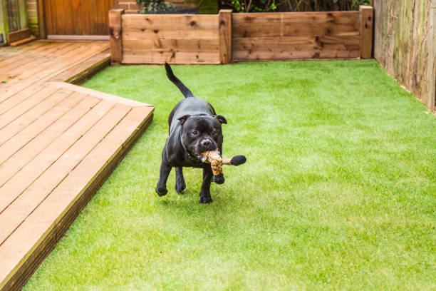 Artificial Turf Installation in Plainfield, Oswego & Yorkville, IL: Costs, Pros & Cons (2026)
