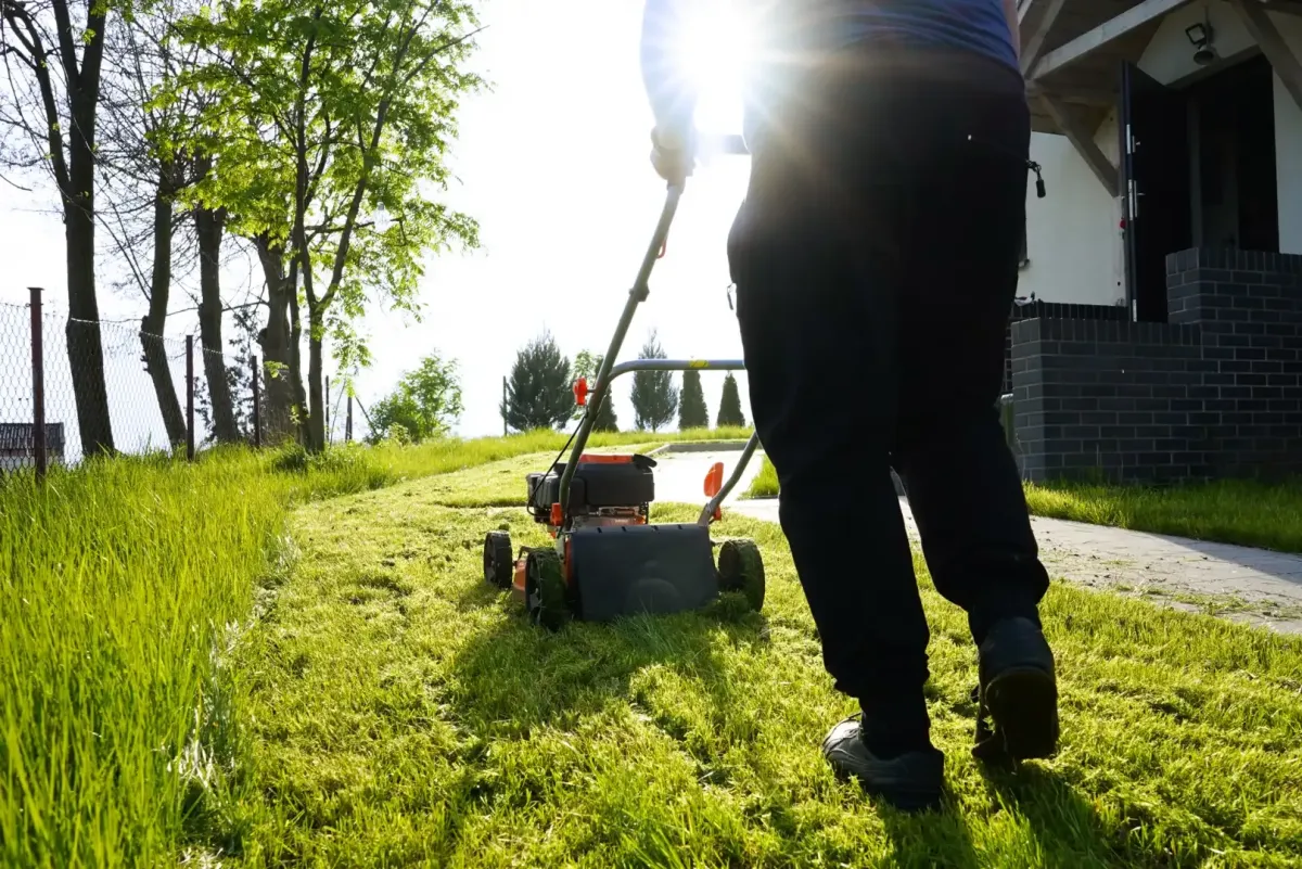 lawn care