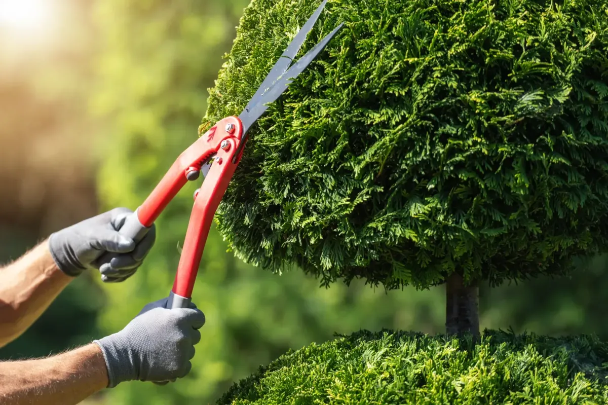 Garden Services