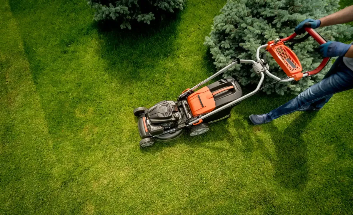 Landscaping 