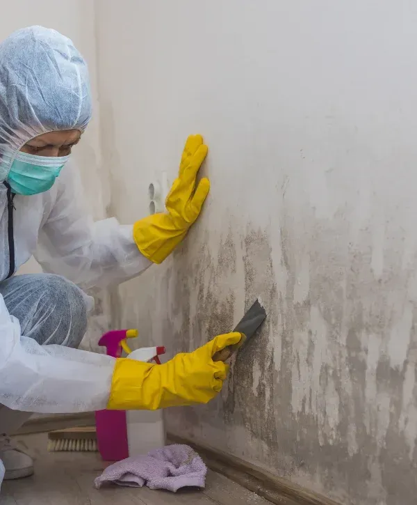 A person in a white hazmat suit, mask, and yellow gloves scrapes mold from a wall with a spatula.