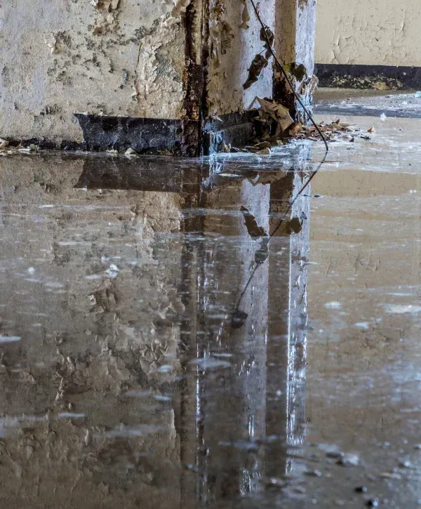A close-up of a water-covered floor in an abandoned building with reflections of a peeling wall and debris.
