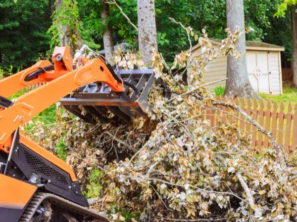 An orange mini excavator with a grapple attachment clears a pile of fallen tree branches and leaves.