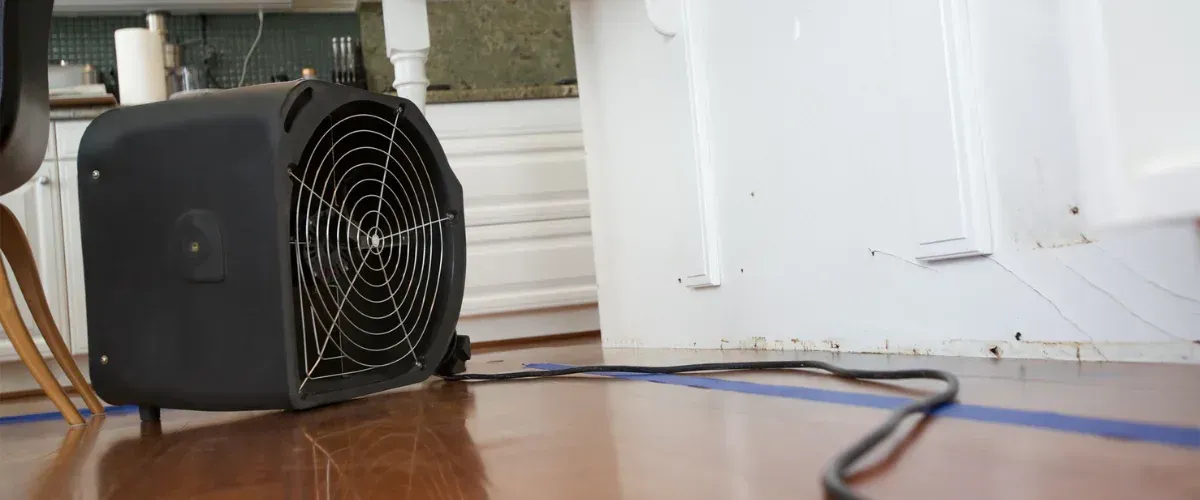 A black industrial fan drying a water-damaged wall with cracked paint and mold, next to a wood floor.
