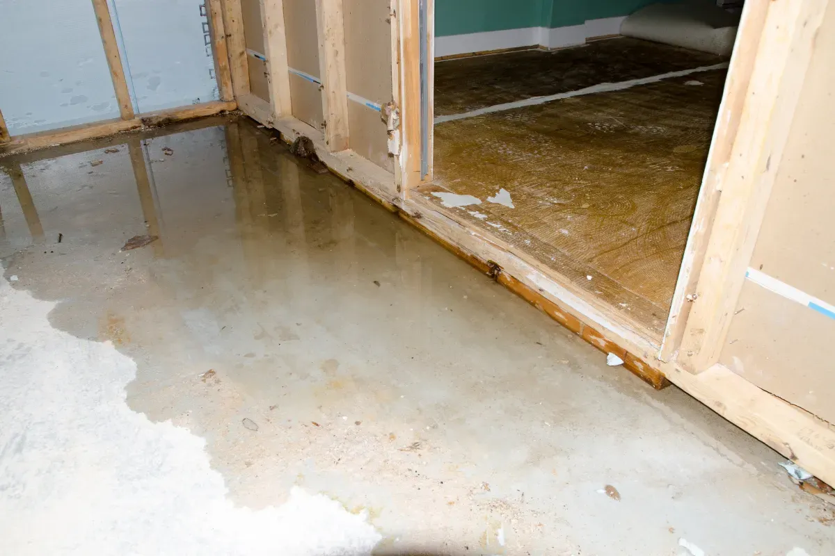 Can Water-Damaged Drywall Be Saved, or Does It Need to Be Replaced?