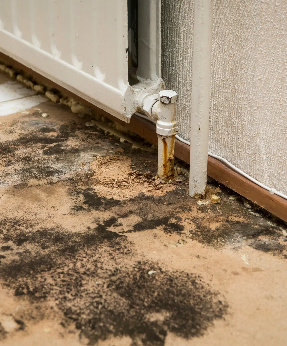 Close-up of a rusted radiator pipe, water damage, black mold, and decaying floor beside a white radiator.