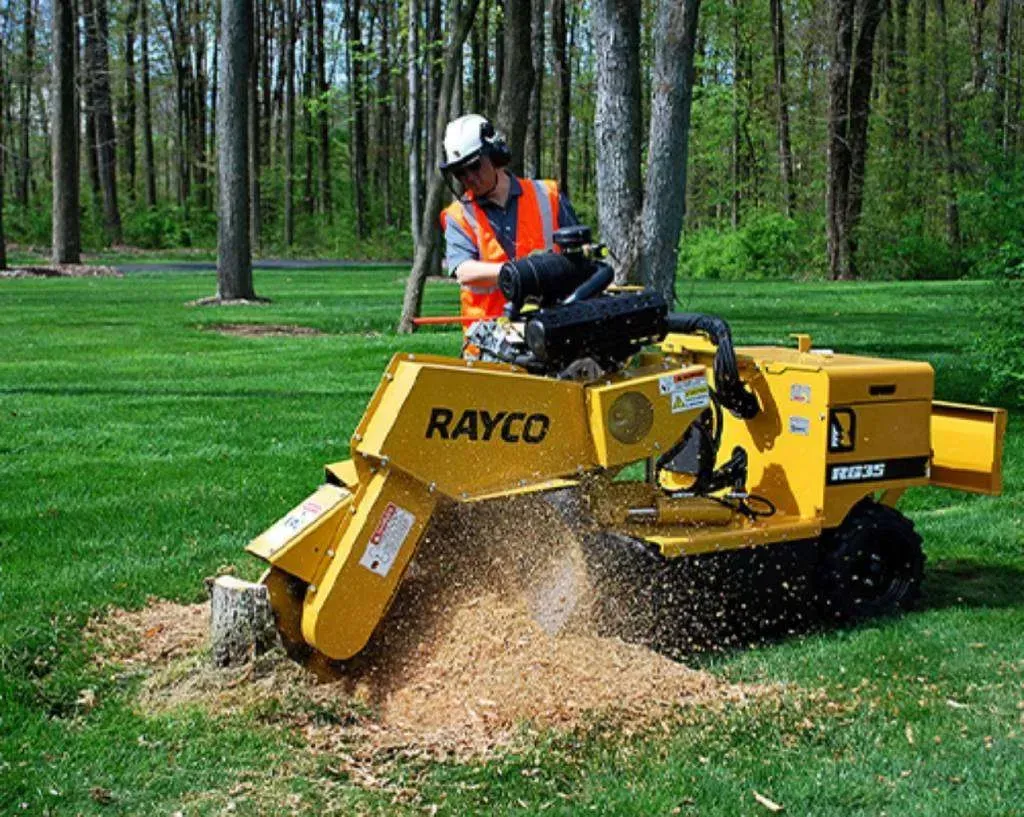 stump removal Valdosta GA