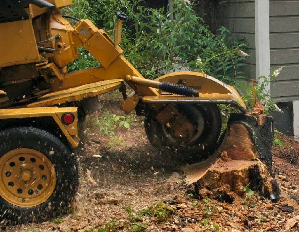 tree stump removal Valdosta GA