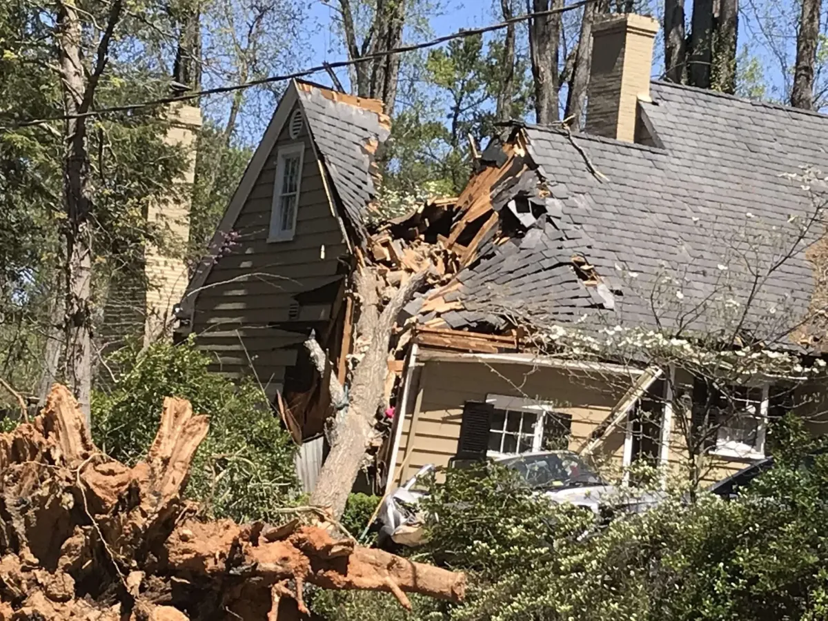 Picture of tree fallen on house demonstrating the importance of tree service valdosta