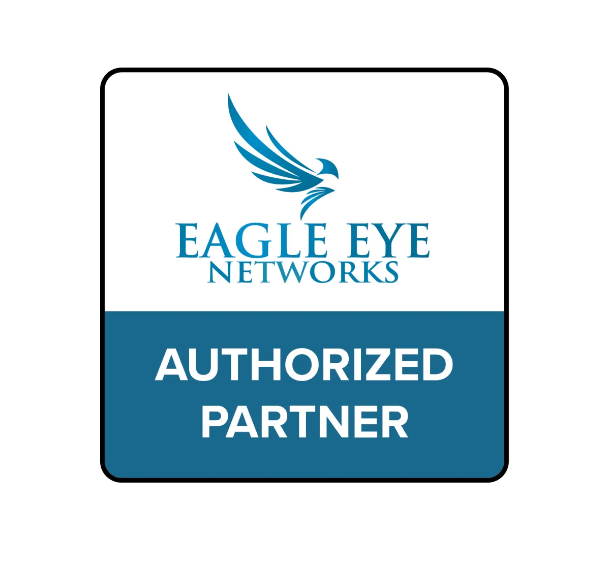 Eagle Eye Video Surveillance logo