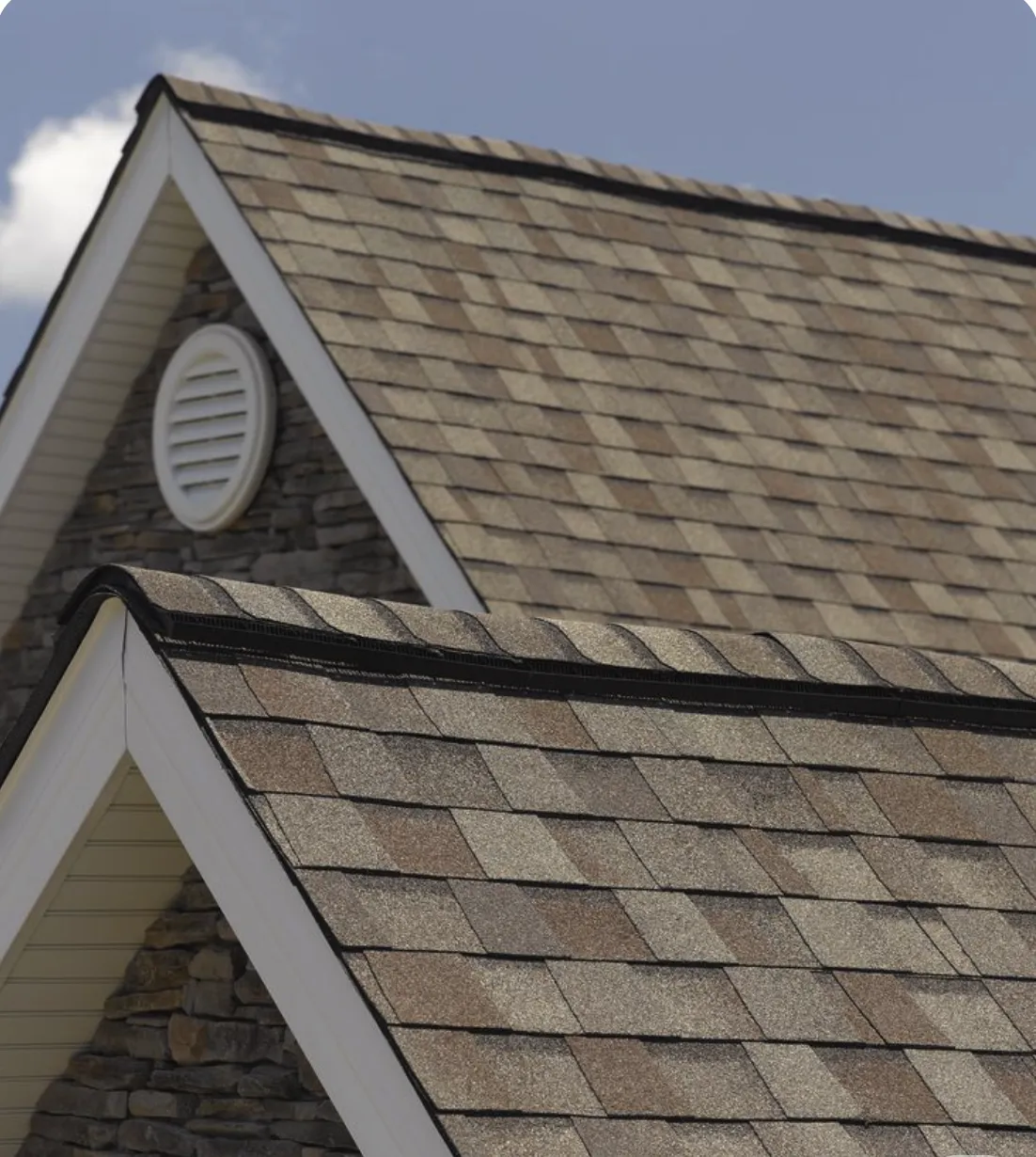 a bird is perched on the roof of a building
