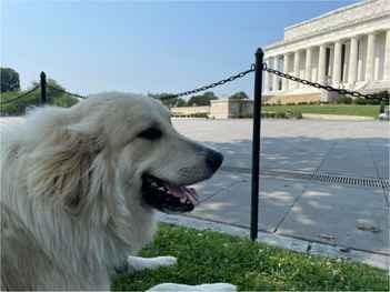 Dogs Welcomed on our Tours