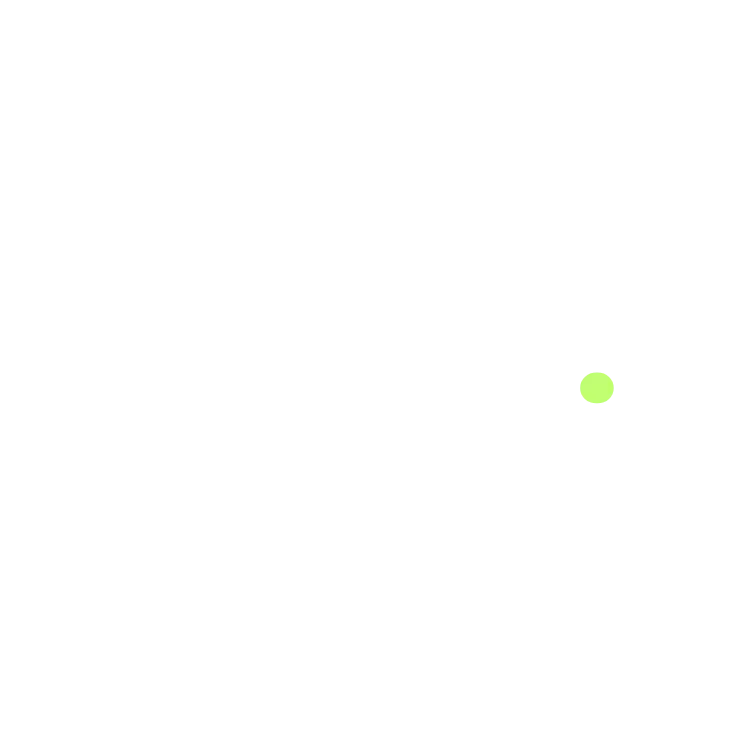 LOGO PLACEHOLDER (replace with ROAM logo)