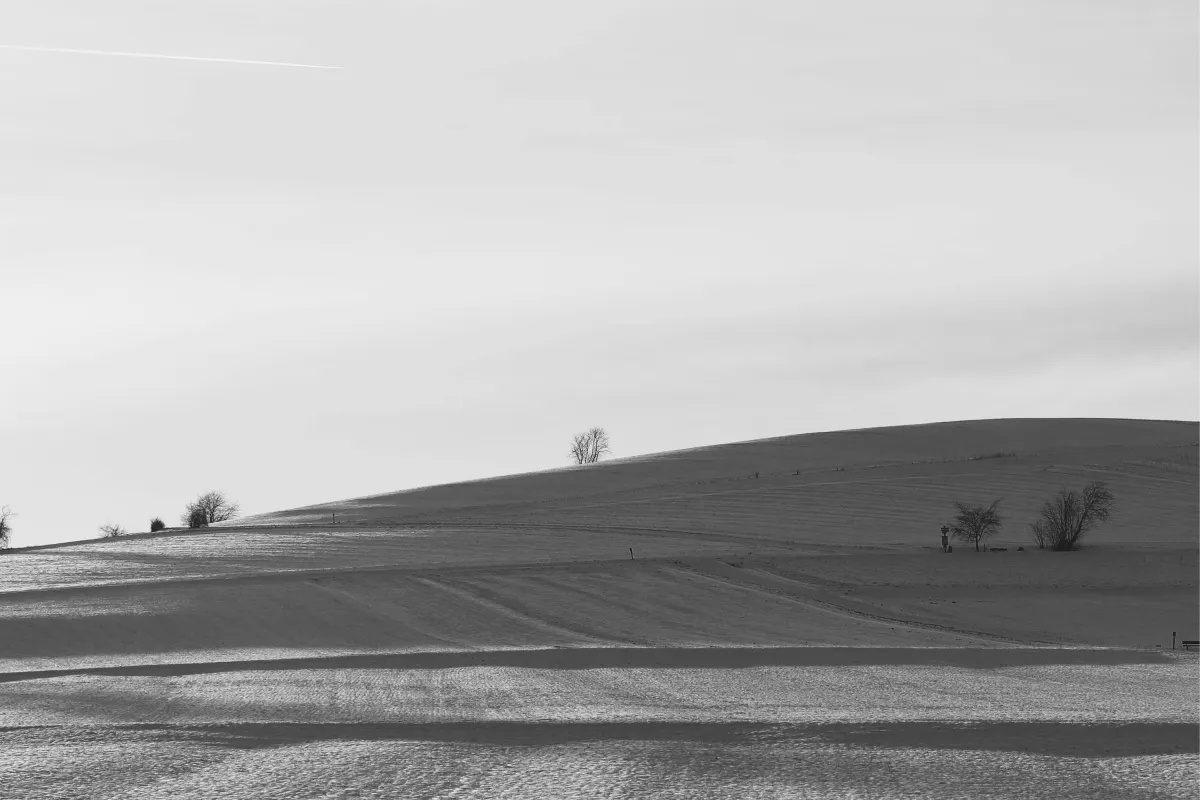 A minimalist landscape showing a calm, clear horizon with significant white space, symbolising mental clarity, recovery, and a sustainable pace of work.