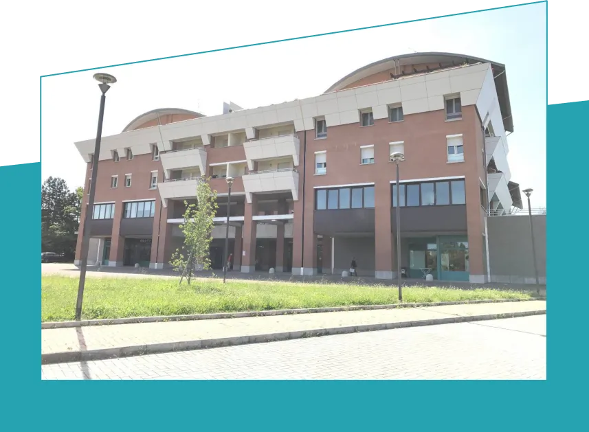 Sede Schonhaut Advisory