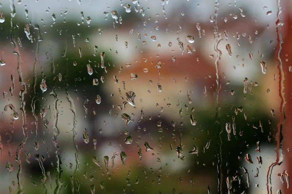 condensation between window panes