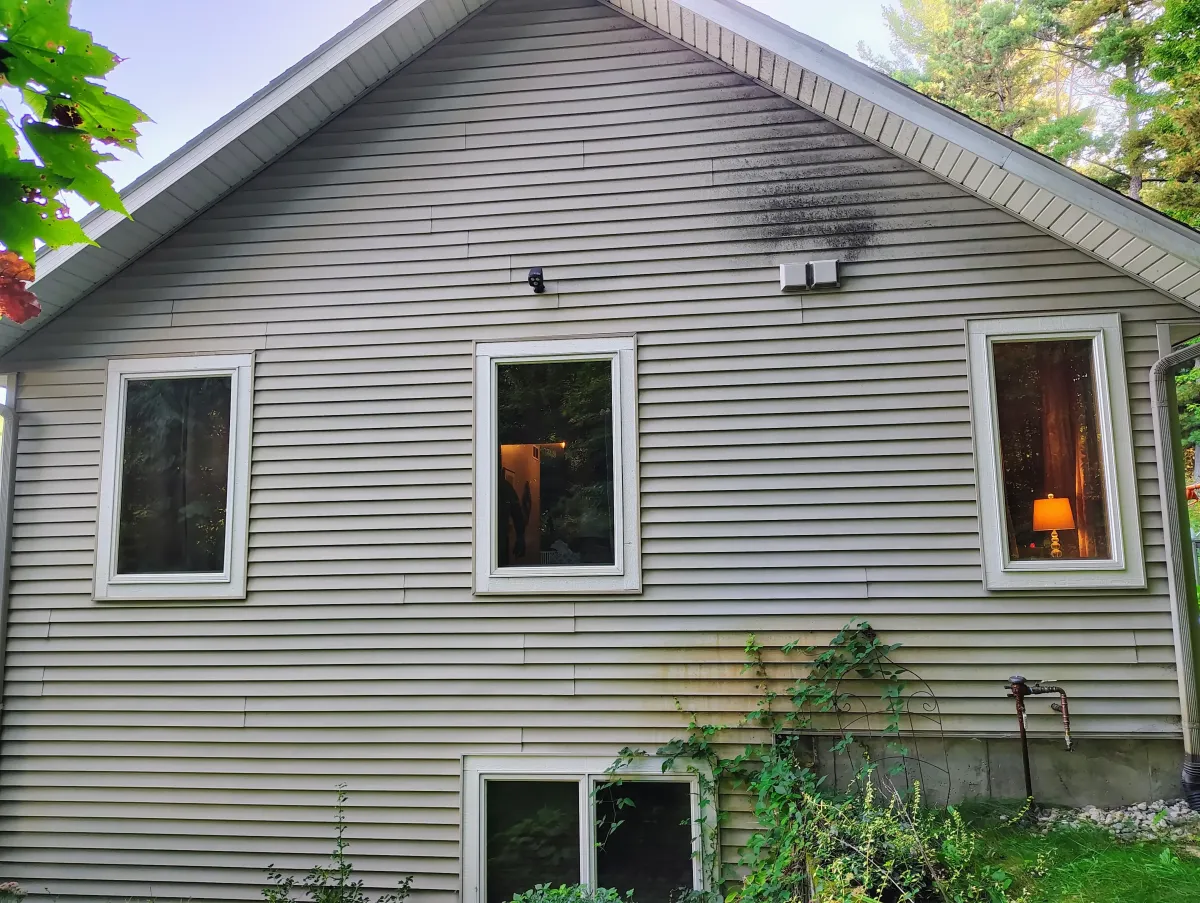 Two-story vinyl siding, gutters, and fascia covered in organic stains before power washing.