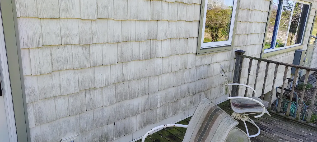 Algae and dirt build-up on residential home siding before soft wash cleaning.