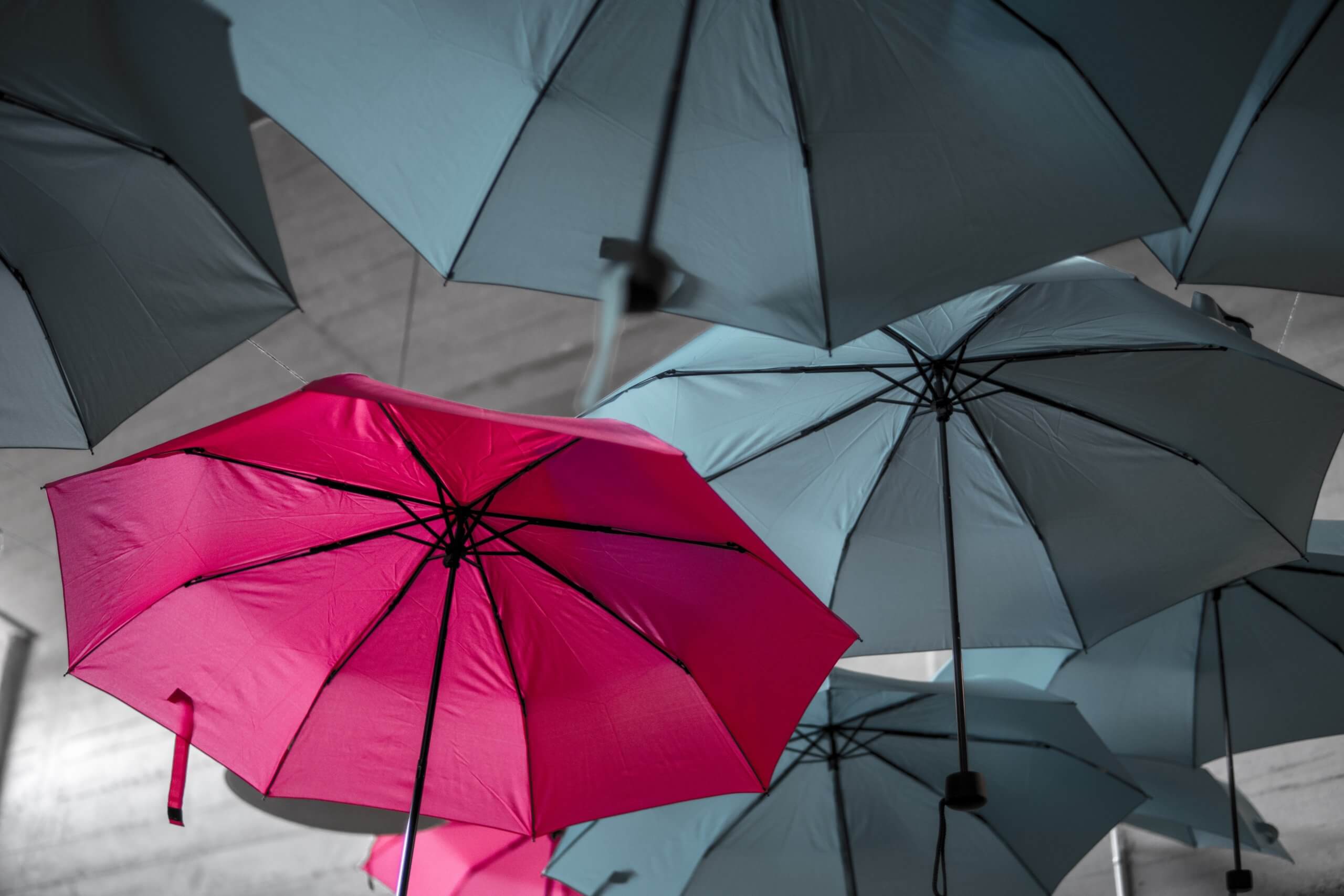 What is A Unique Value Proposition?