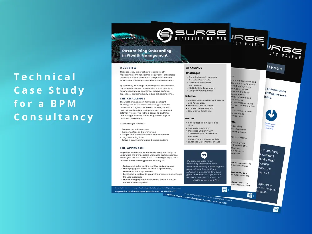 Case Study for a US Based BPM Consultancy