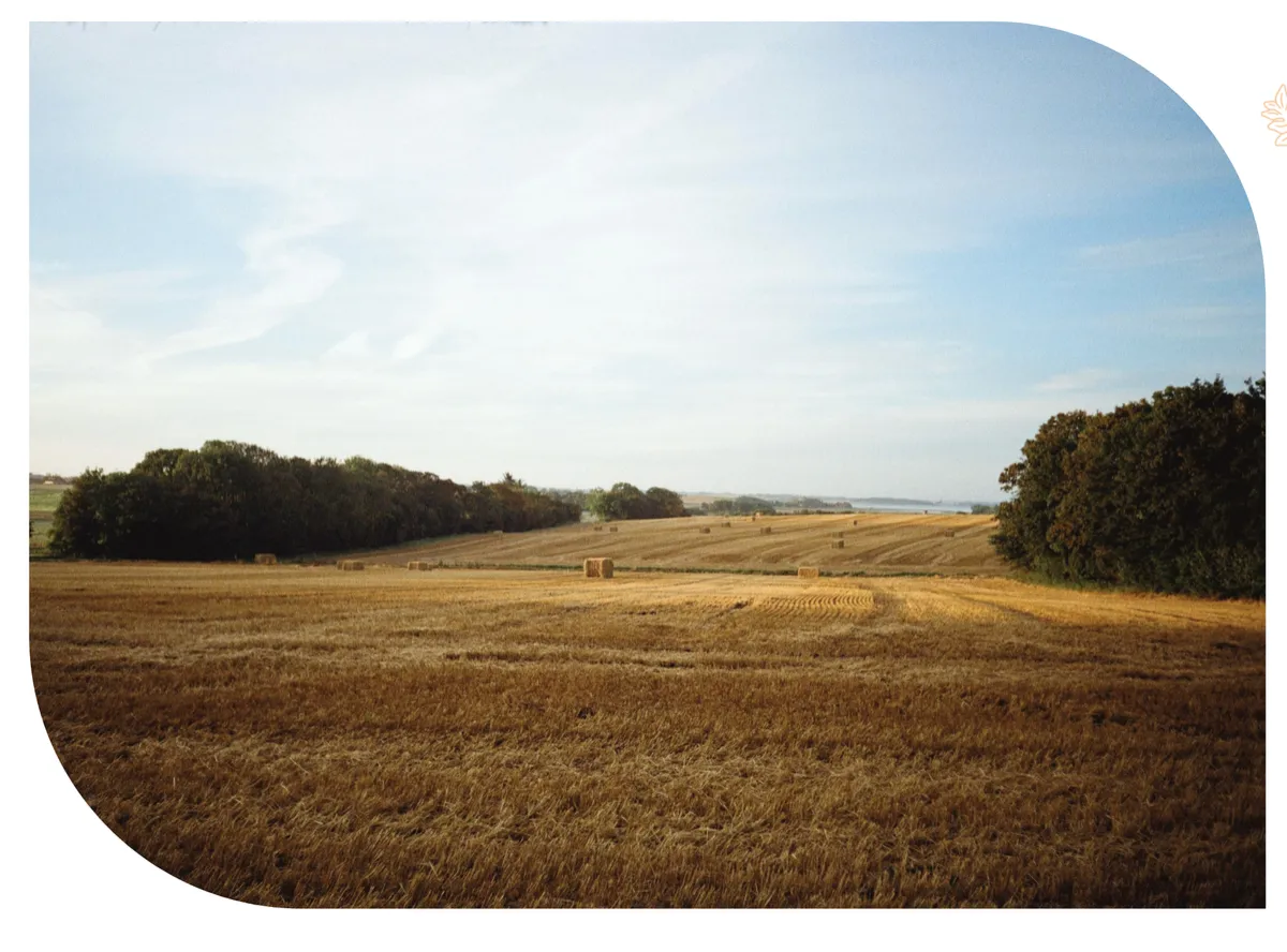 Health Valley Medical panorama view