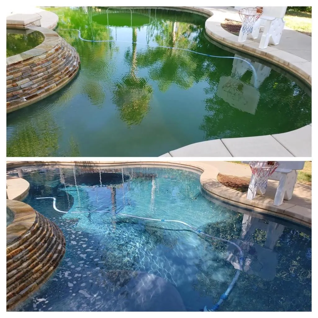 weekly pool service near me