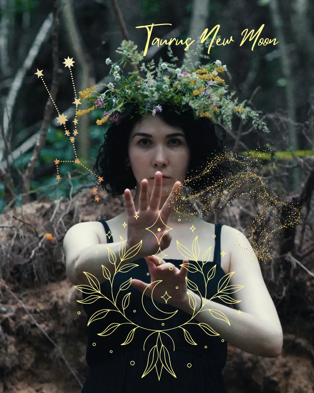 Taurus New Moon