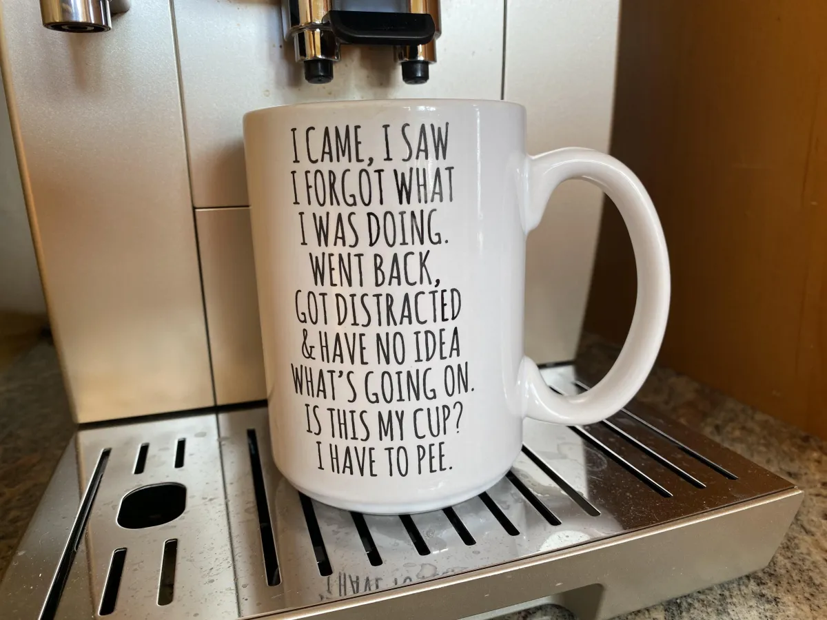 I came I saw I forgot mug